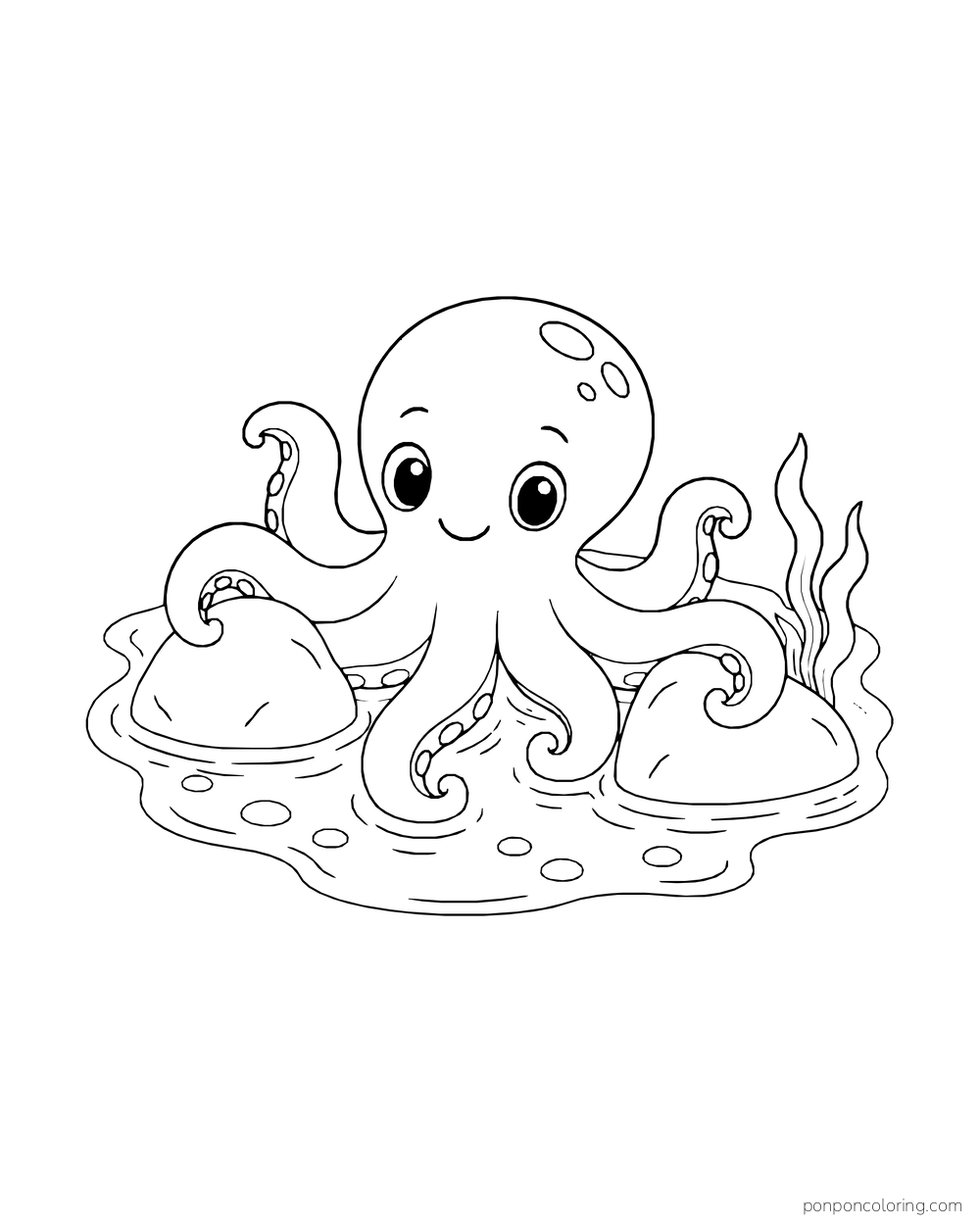 A small octopus curls its arms around two rocks in shallow water.