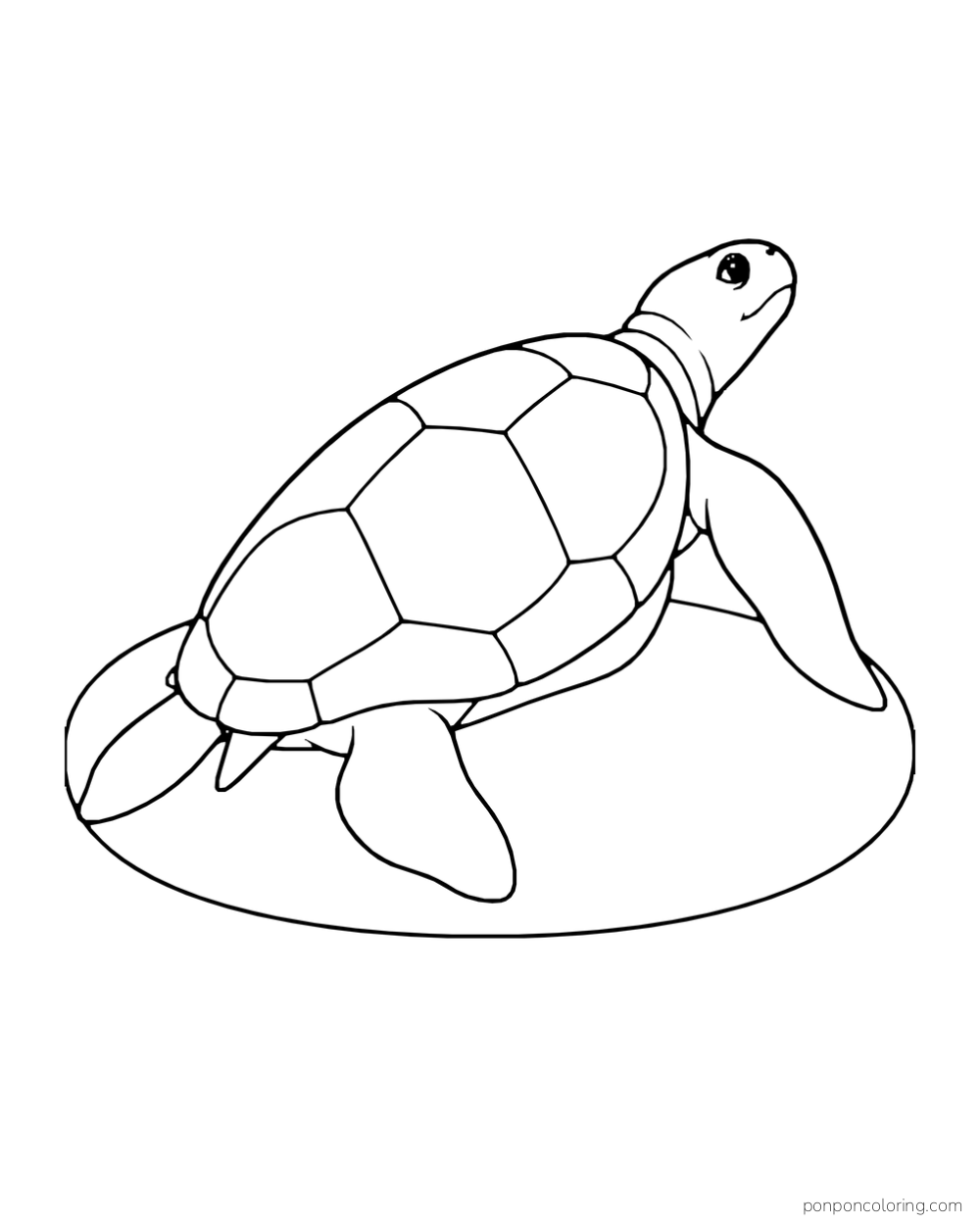 A sea turtle seen from the rear side holds its head up on a smooth sand mound.