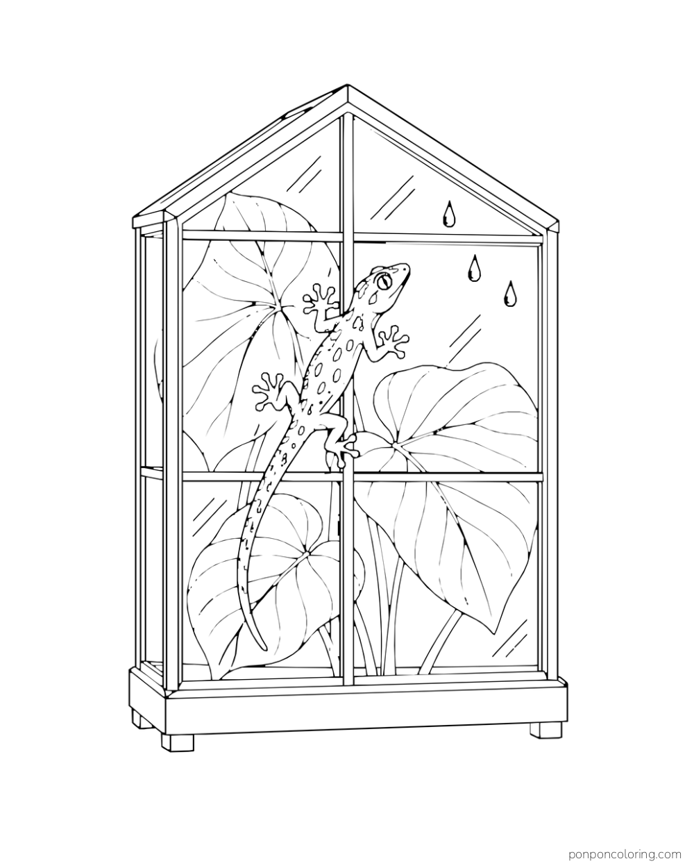 A gecko clings to a greenhouse pane with broad leaves behind the glass and raindrops above.
