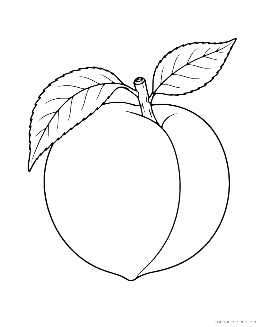 Single whole peach with a short stem and two broad leaves on blank paper.