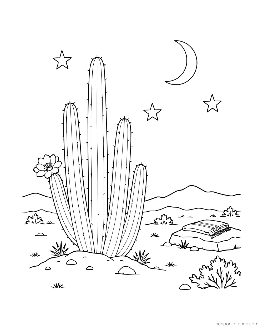 Organ-pipe cactus stems stand beneath a crescent moon and outlined stars, with a folded blanket on a rock.