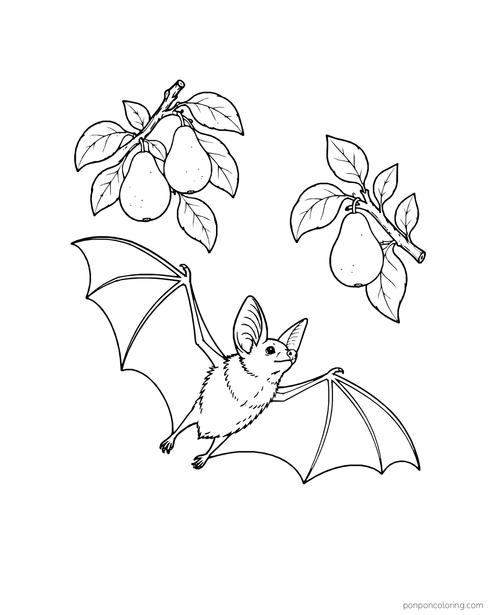 A bat flies beneath two short pear sprigs with hanging fruit and leaves.