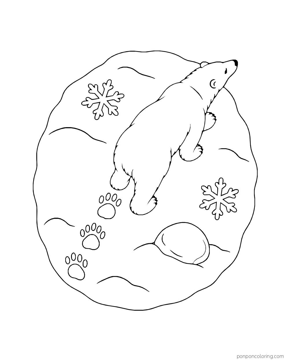 An overhead view shows a polar bear following three large pawprints through snow.