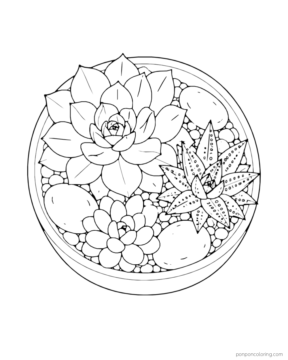 Round bowl viewed from above with two layered succulent rosettes, a pointed-leaf cluster and stones.
