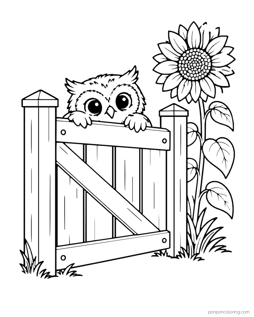 A small owl peeks over a wooden garden gate beside a tall sunflower.