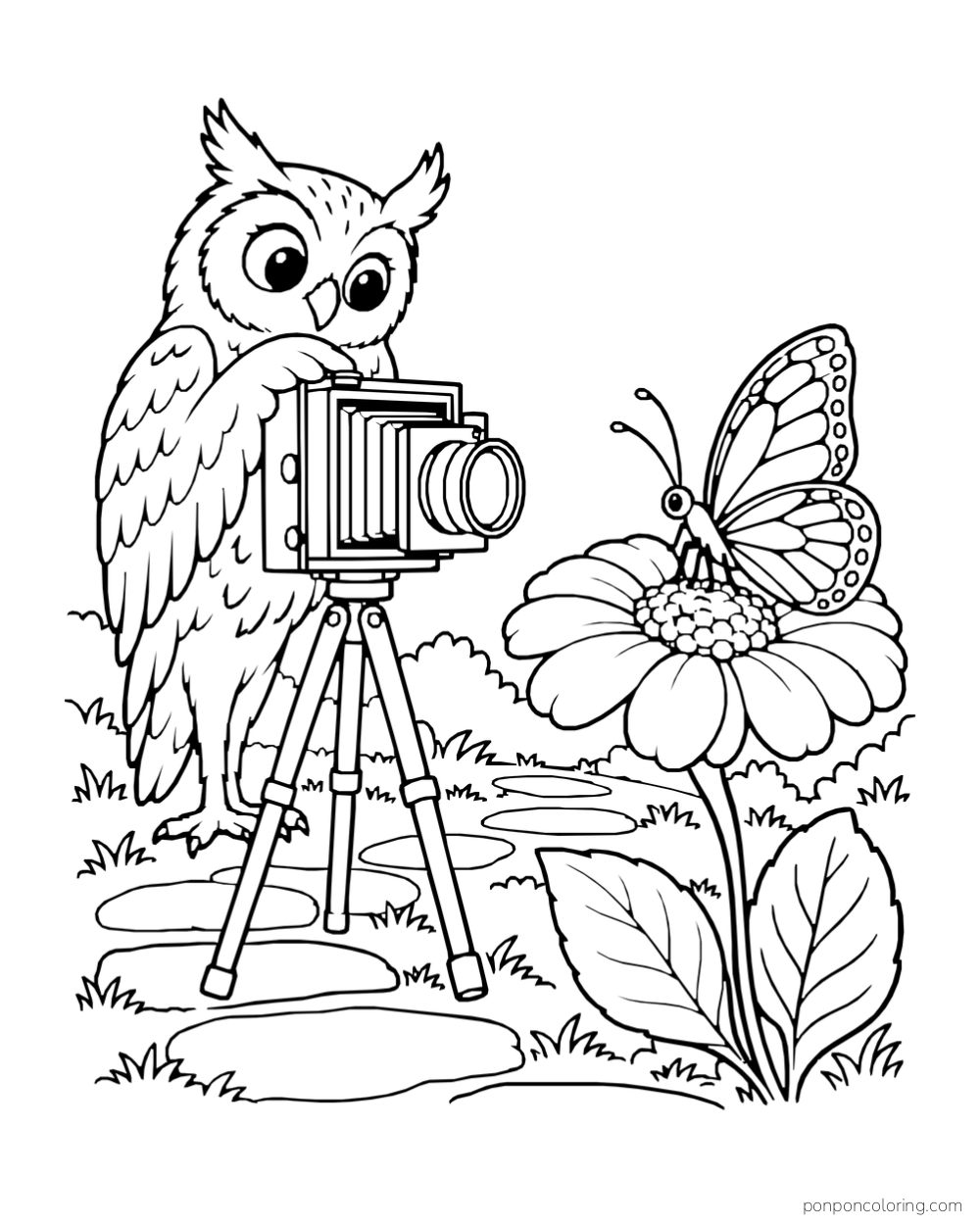 An owl uses a tripod camera to photograph a butterfly resting on a large flower.