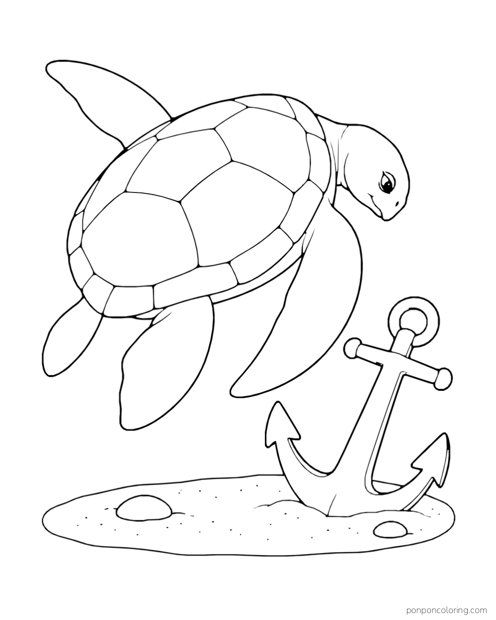 A sea turtle looks down toward a large anchor resting on a sandy oval.