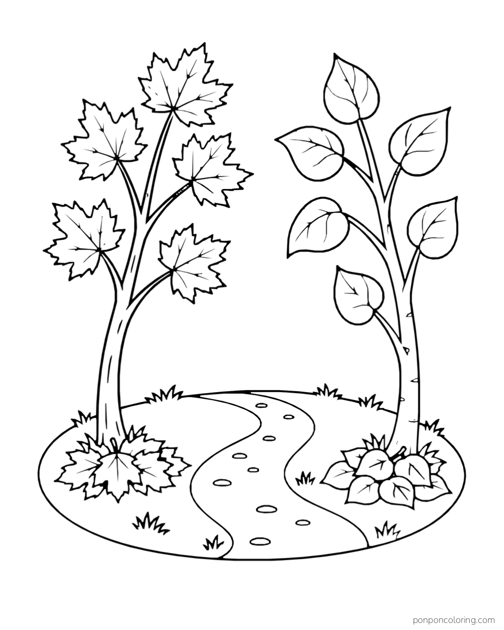 A short curving path runs between two small trees and piles of fallen leaves.