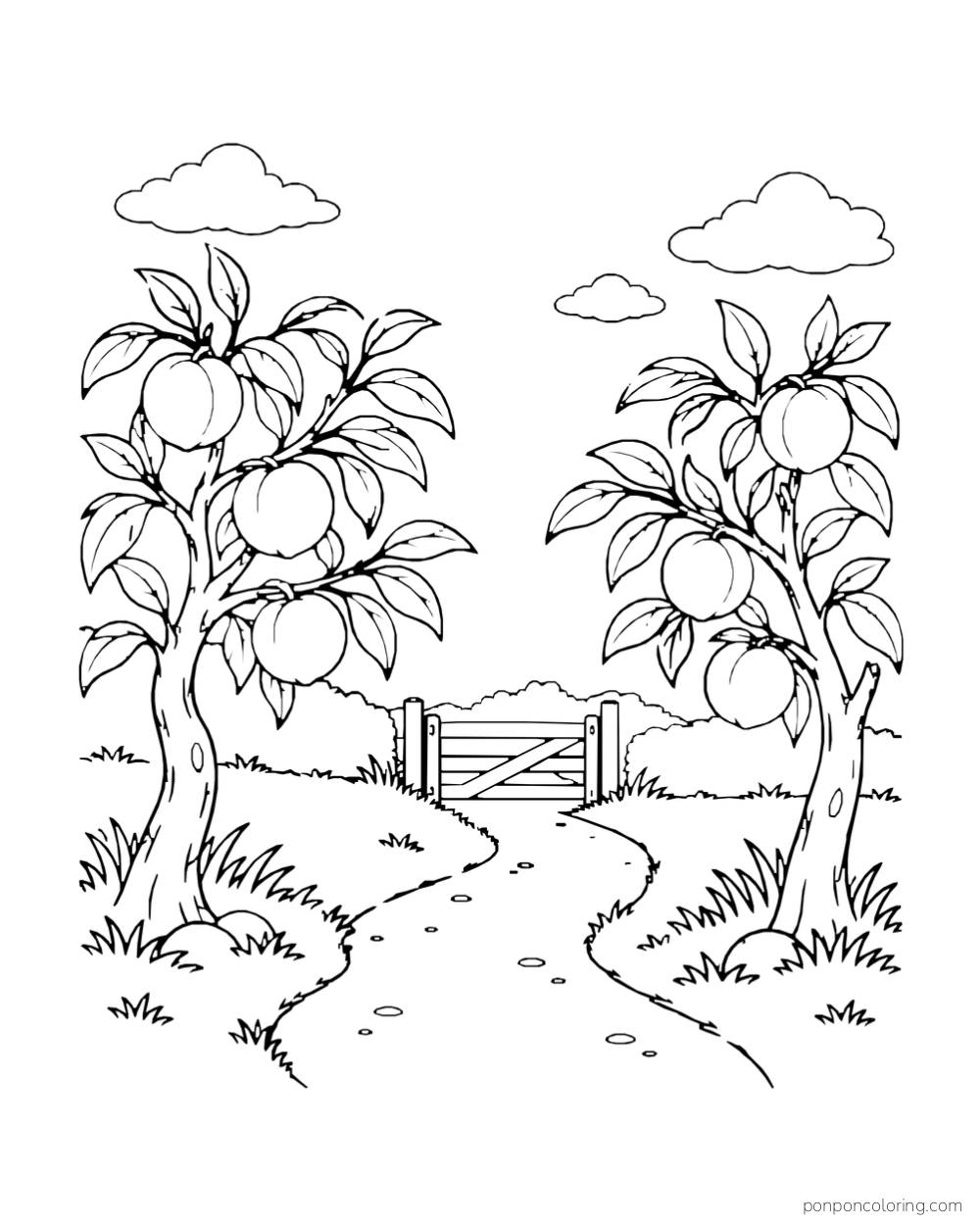 Curved path between two small peach trees leading to a low wooden gate.