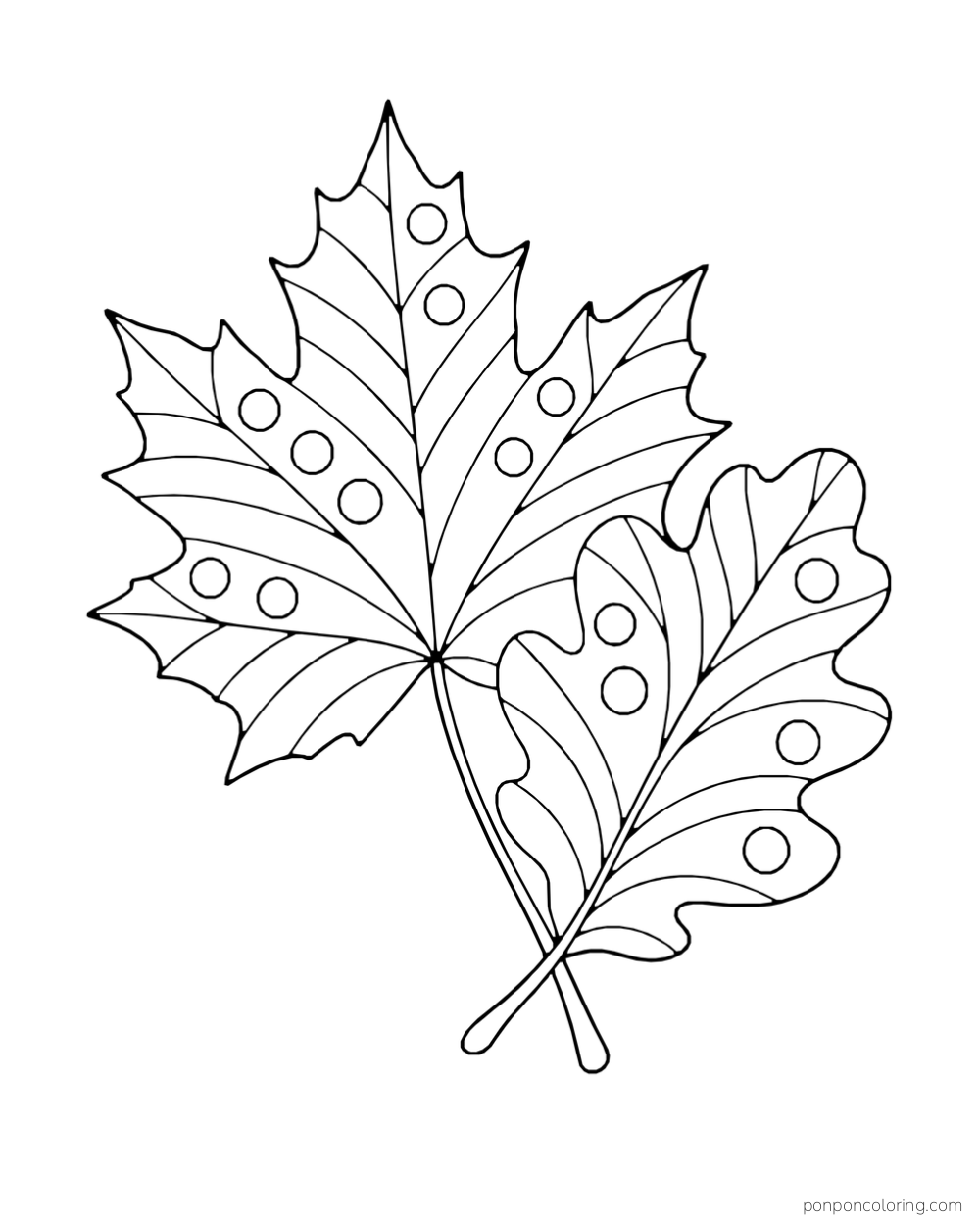 Two overlapping leaves contain simple circles and broad curved stripes.