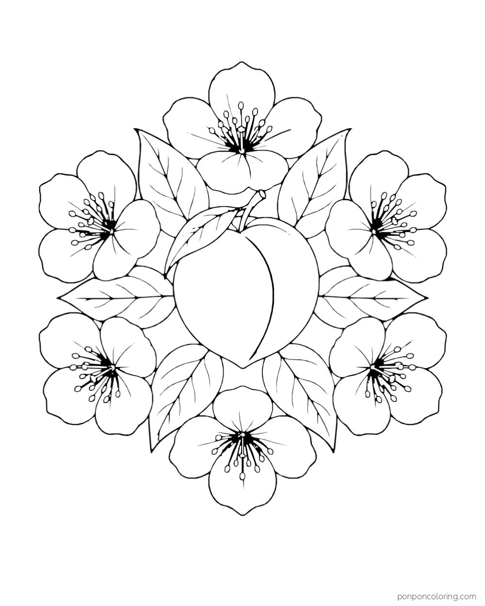 Central peach surrounded by broad leaves and peach blossoms.