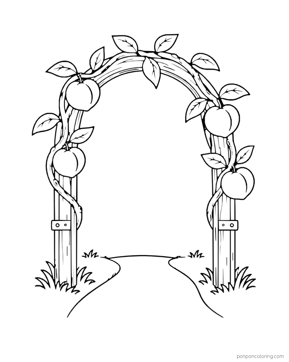Curved wooden arbor twined with peach branches over a clear path.