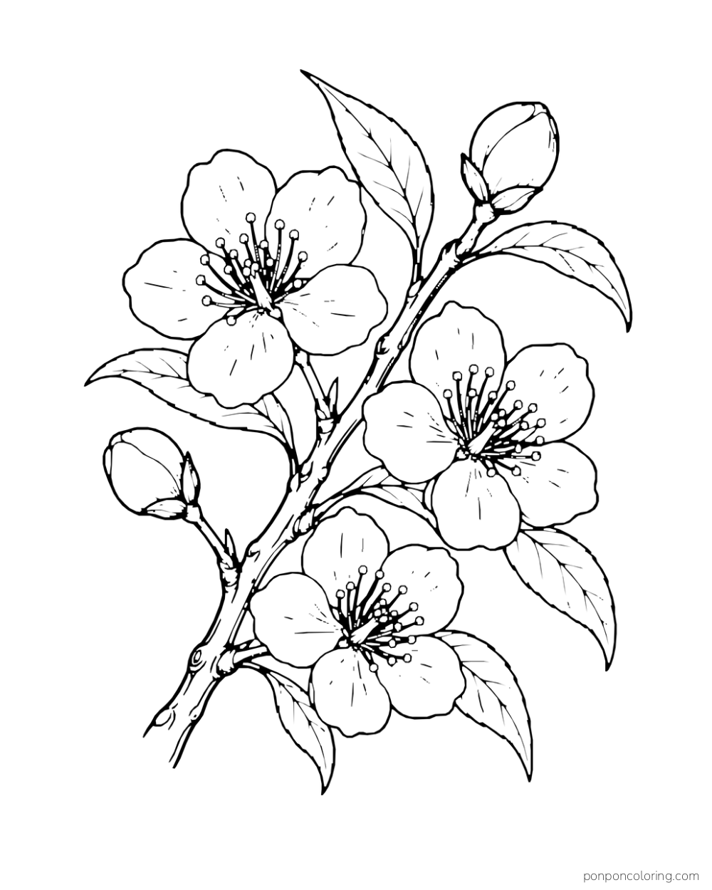 Three open peach blossoms and a closed bud on a leafy branch.