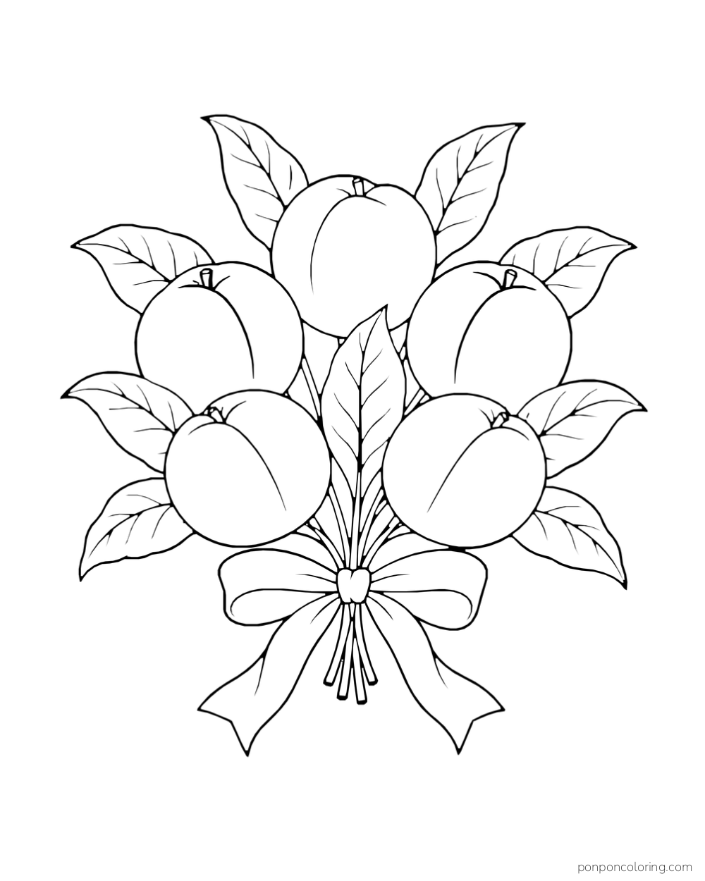 Fan of peaches and leaves gathered above one tied bow.