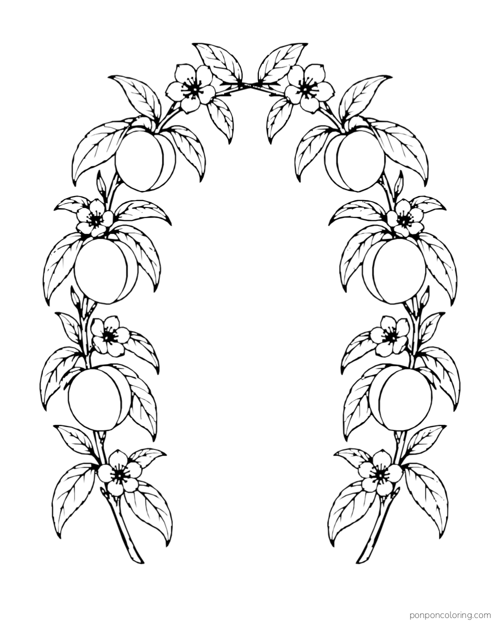 Two peach branches with blossoms and leaves rising into an open arch.