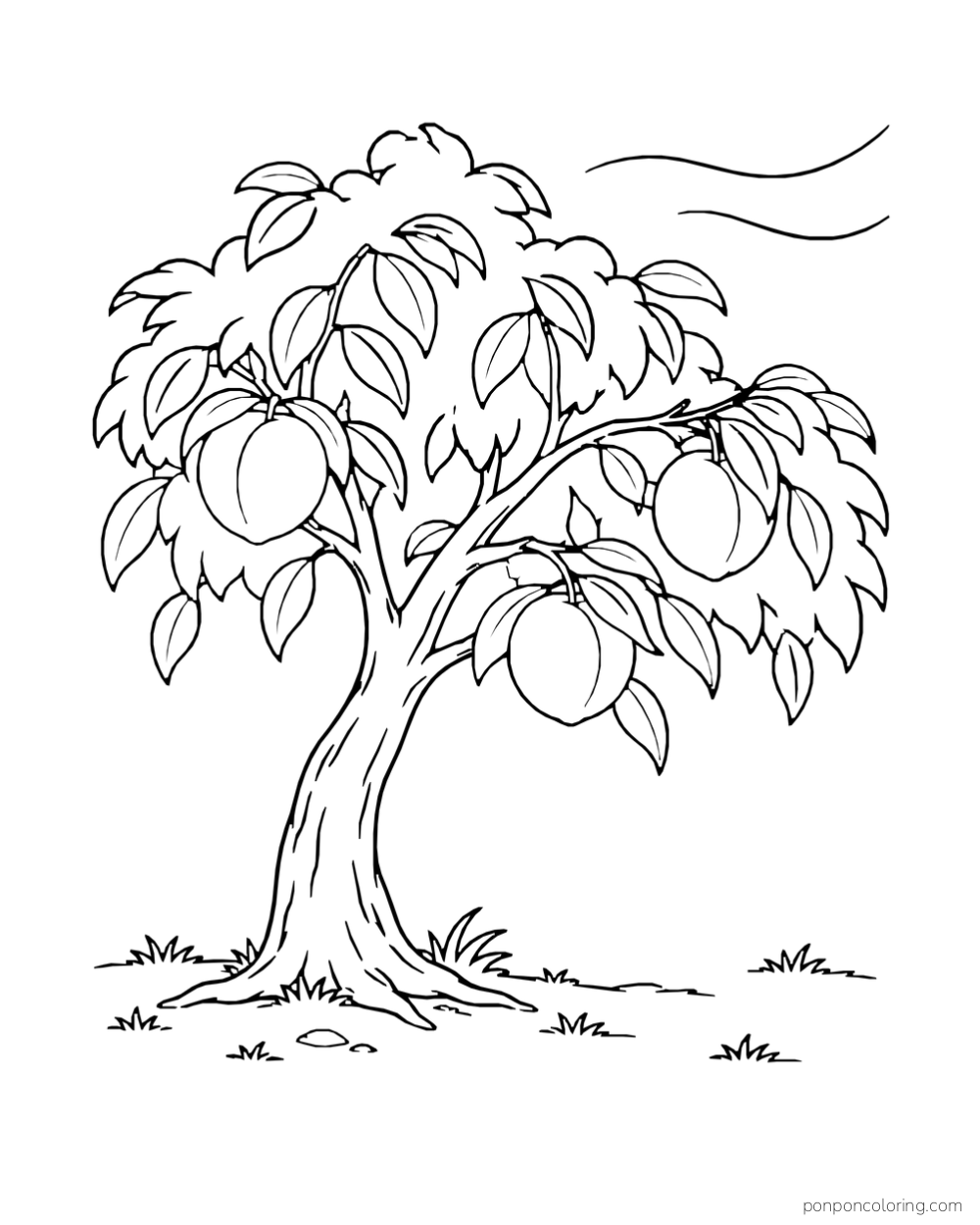 Peach tree with fruit in its rounded canopy and two curved wind lines.