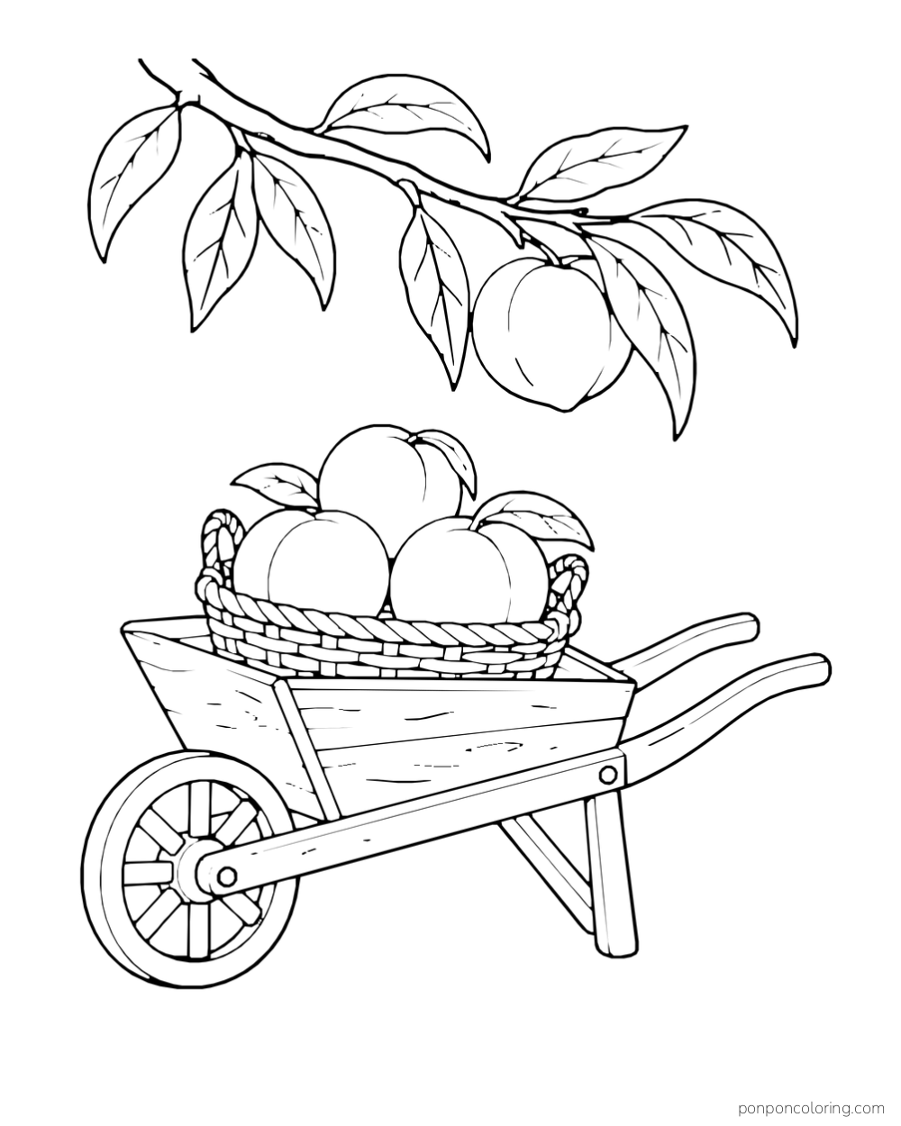 One-wheel wooden barrow holding a basket of peaches beneath an overhanging branch.