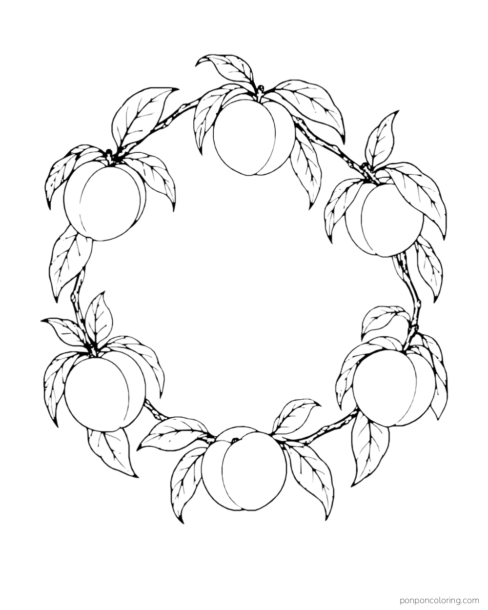 Circular wreath of peaches and leaves surrounding a wide open center.