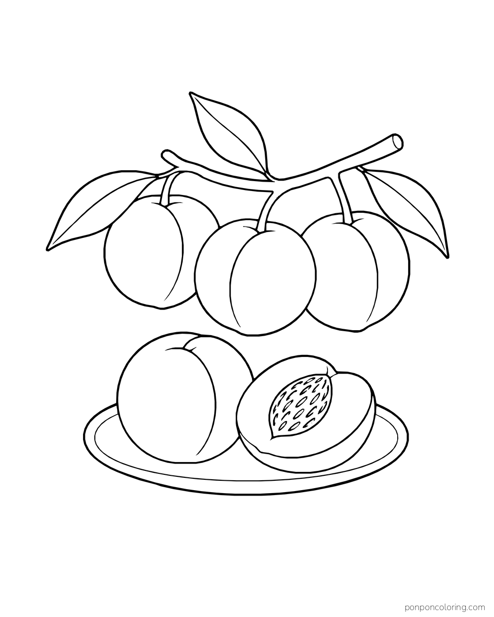 Three peaches hanging from a leafy branch above a plate with a whole peach and a cut half.