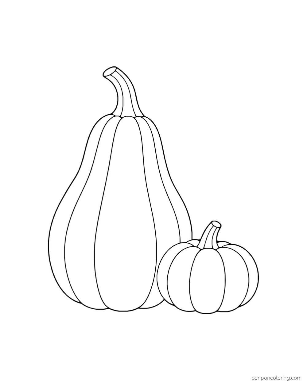 A large pear-shaped pumpkin beside a small round pumpkin.