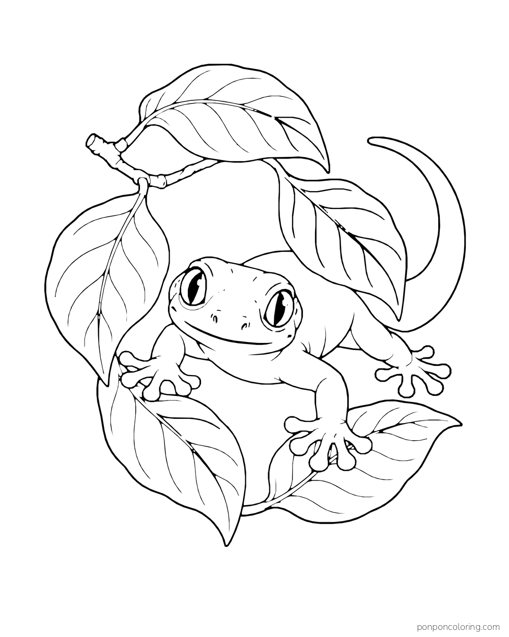 A gecko peers through a loose ring of broad leaves with its front feet spread.