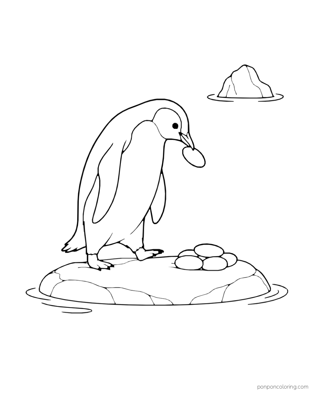 A penguin holds a pebble in its beak beside a small pile of pebbles on a low rock.
