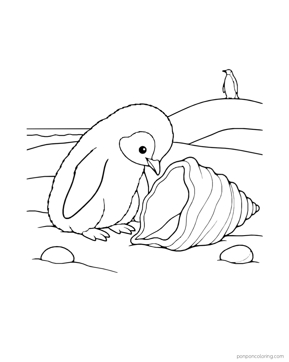 A fluffy penguin chick bends toward a large spiral shell on the shore, with pebbles nearby.