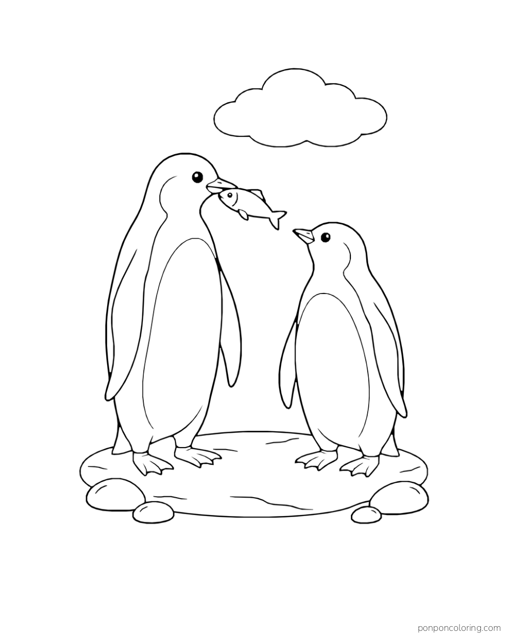 One penguin holds a fish in its beak while a second penguin looks up beside it.