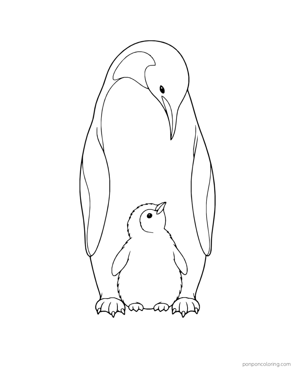 An adult penguin bending its long beak toward a fluffy chick standing between its feet.