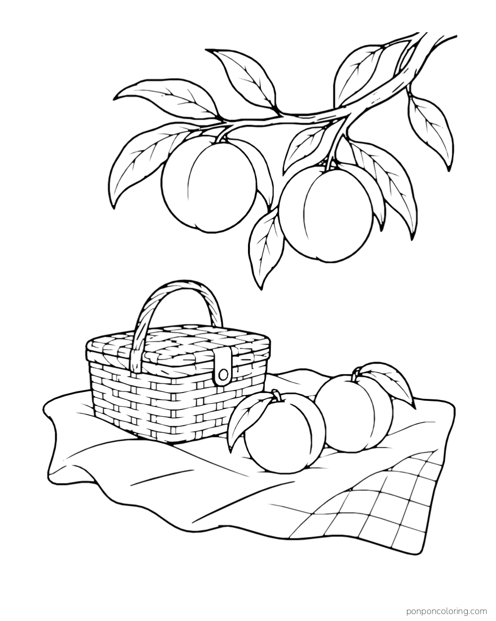 Closed picnic basket and two peaches on a loose blanket below a leafy branch.