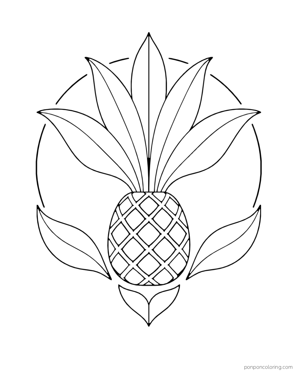 Small pineapple base beneath a fan of six long leaves inside a loose circular arc.