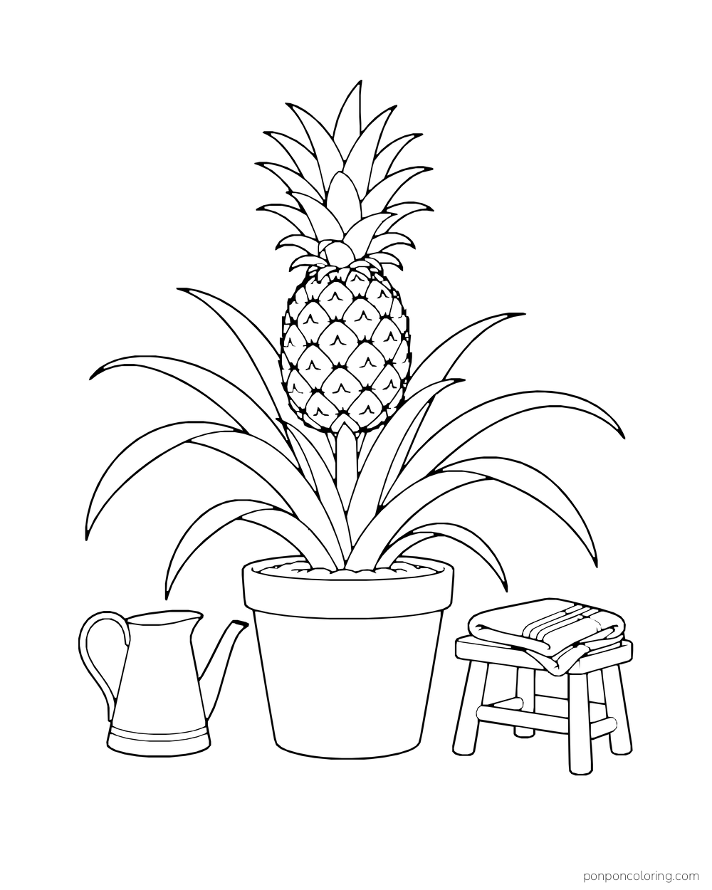 Pineapple growing from broad leaves in a flowerpot beside a watering pitcher and folded towels.