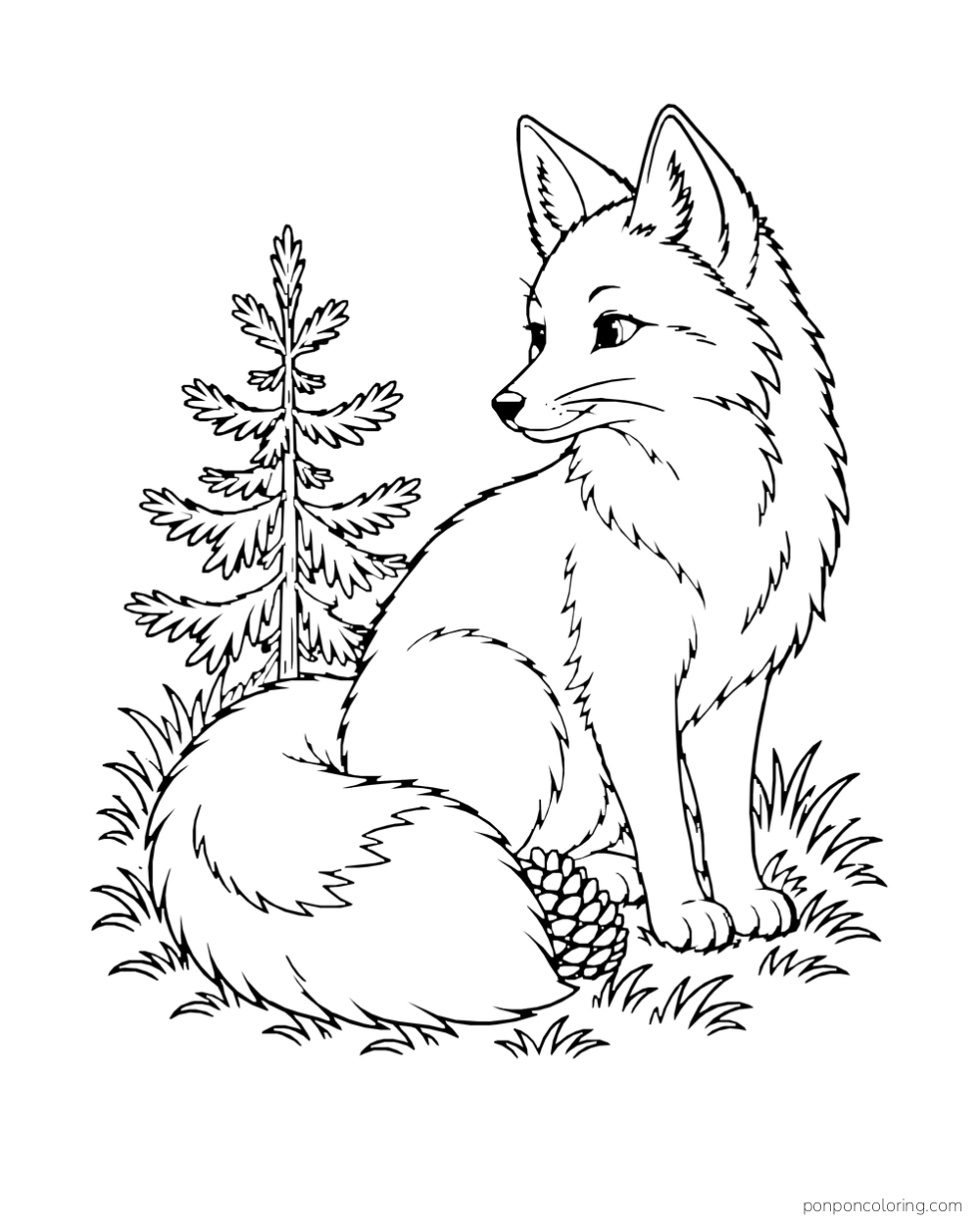 A seated fox curves its bushy tail around a pinecone beside a young spruce.