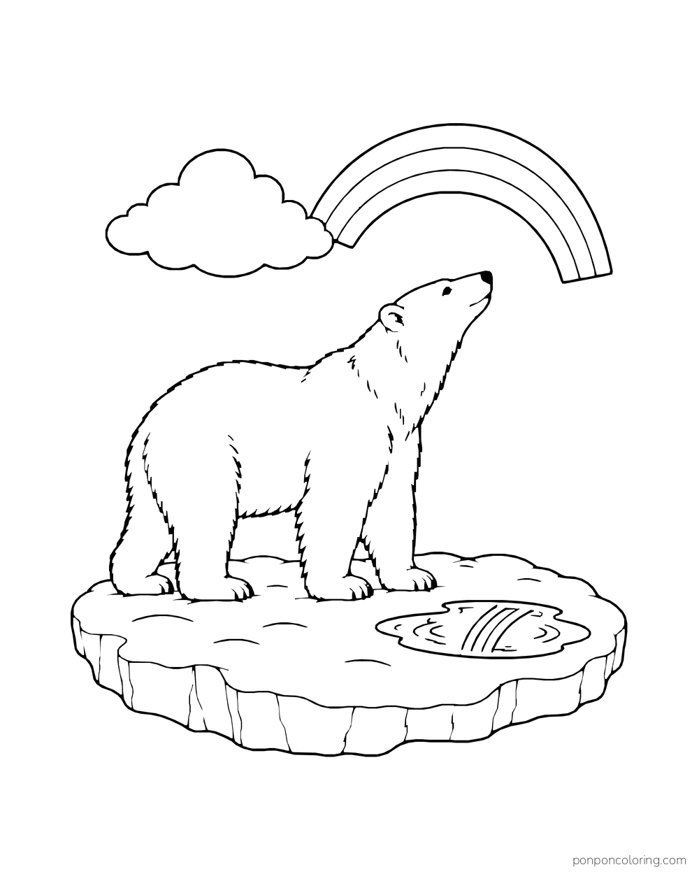 A four-legged polar bear stands on an ice island beneath a rainbow reflected in a puddle.