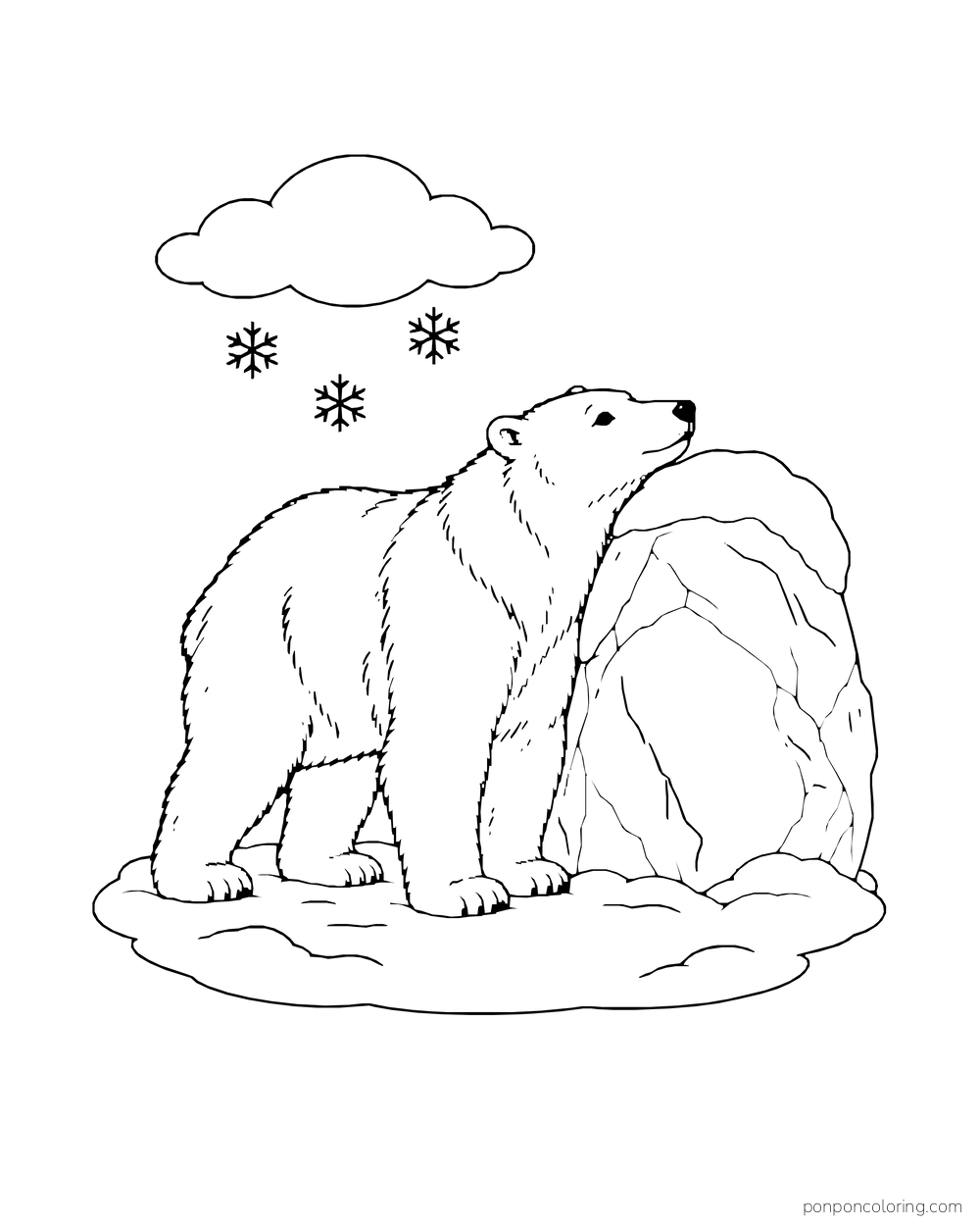 A four-legged polar bear stands beside a rounded boulder and looks upward.