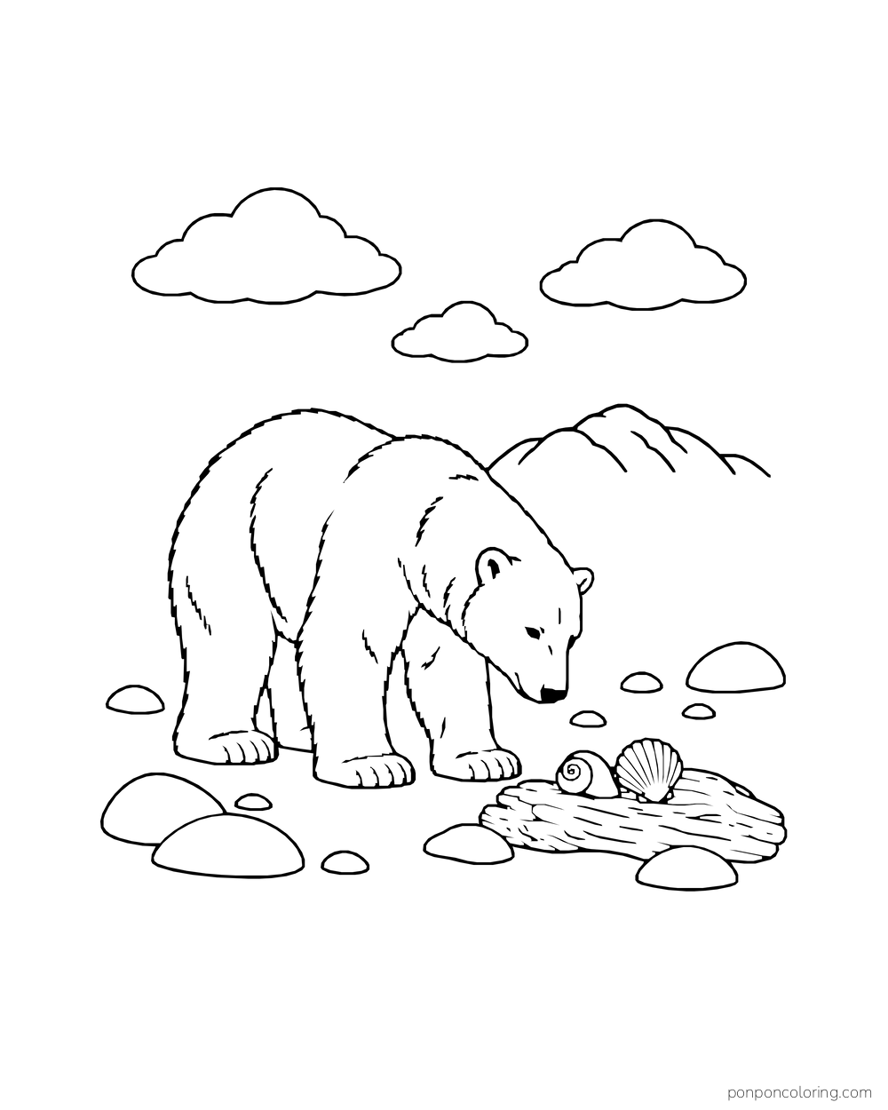 A four-legged polar bear examines several shells beside a piece of driftwood.
