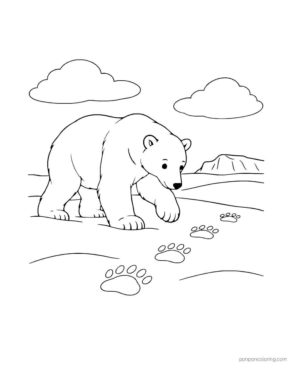 A four-legged polar bear follows a short line of pawprints across an open snow patch.