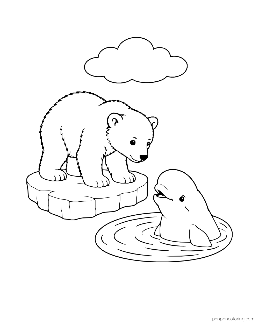 A polar bear stands on one ice patch facing a beluga in a separate closed water pool.