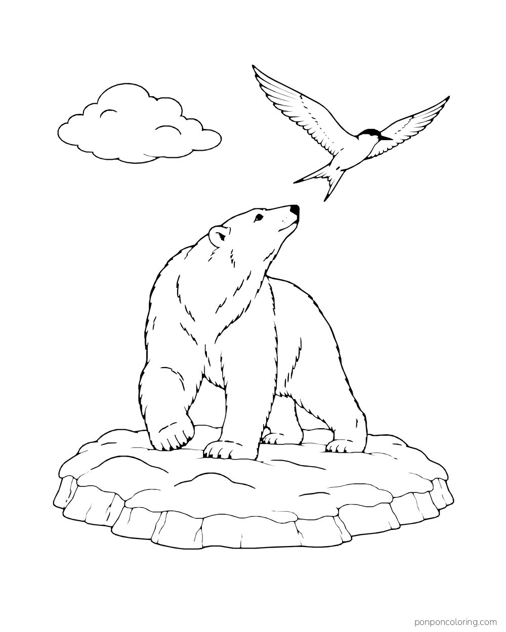 A polar bear sits on a snowy ridge and looks up at a flying bird.