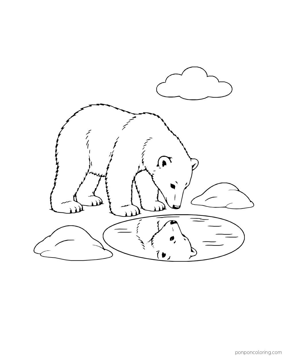 A four-legged polar bear looks down at its reflection in a closed oval ice pool.
