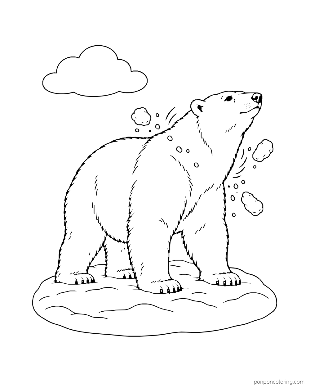 A four-legged polar bear shakes rounded clumps of snow from its fur.