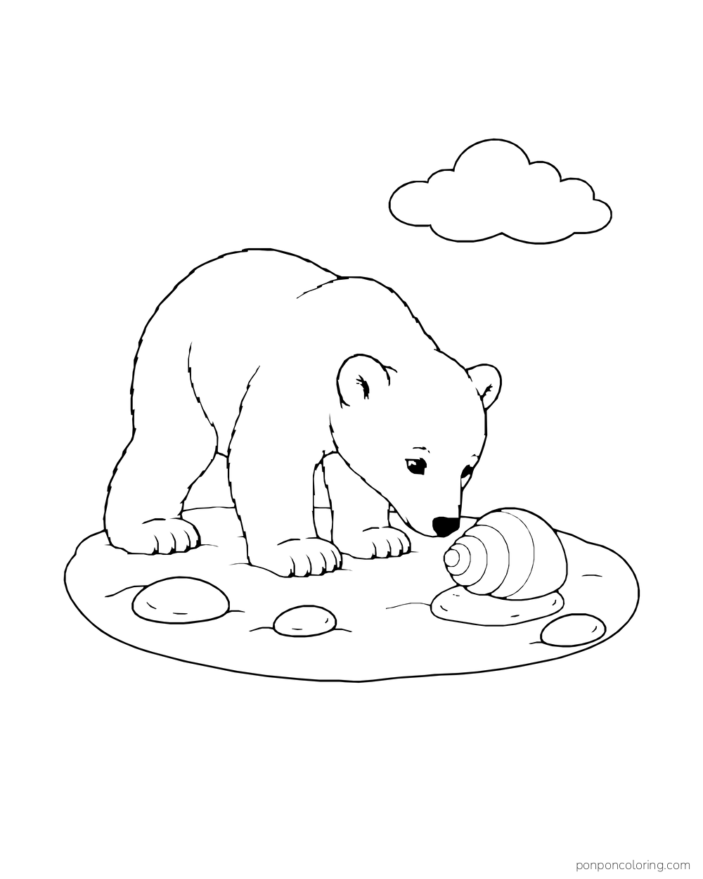 A polar bear lowers its nose to a spiral shell on a complete snow patch.