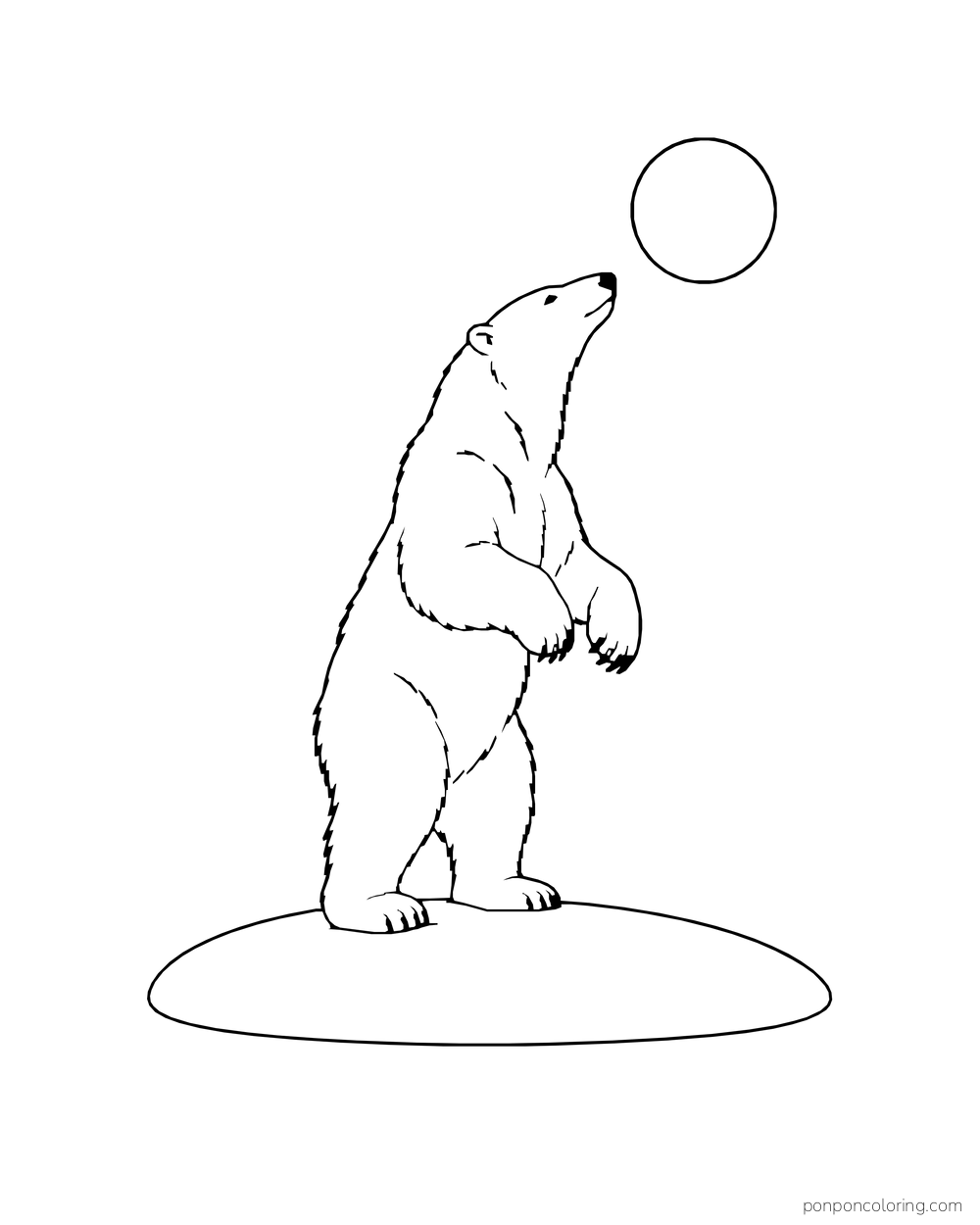 A natural polar bear stands upright on a snowy patch beneath a plain round shape in the sky.