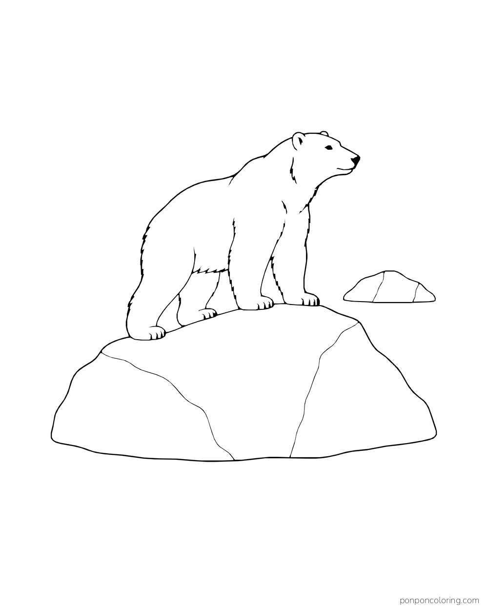 A four-legged polar bear stands on a broad iceberg above open water.