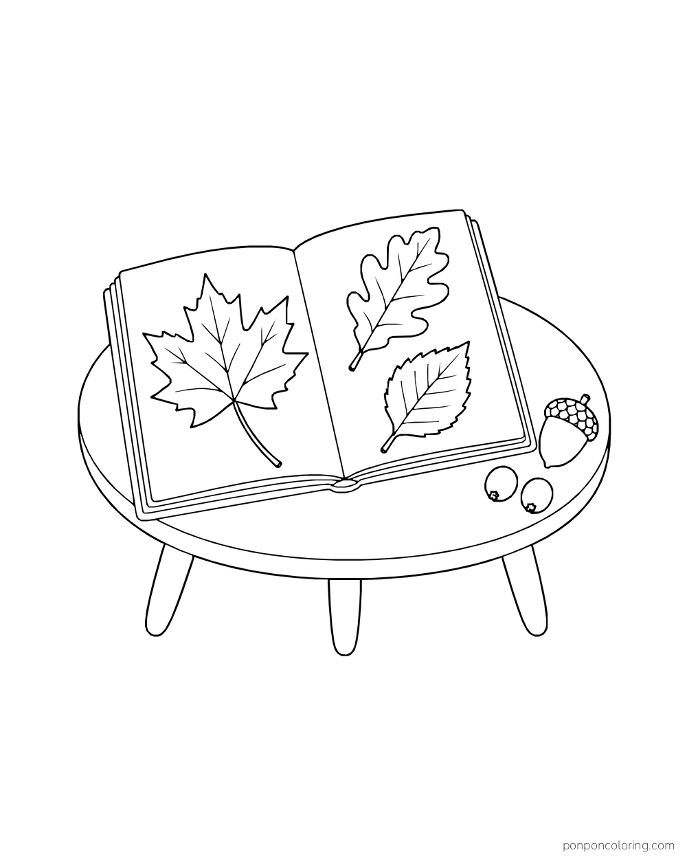 An open book holds three pressed leaves on a round table with an acorn and berries.