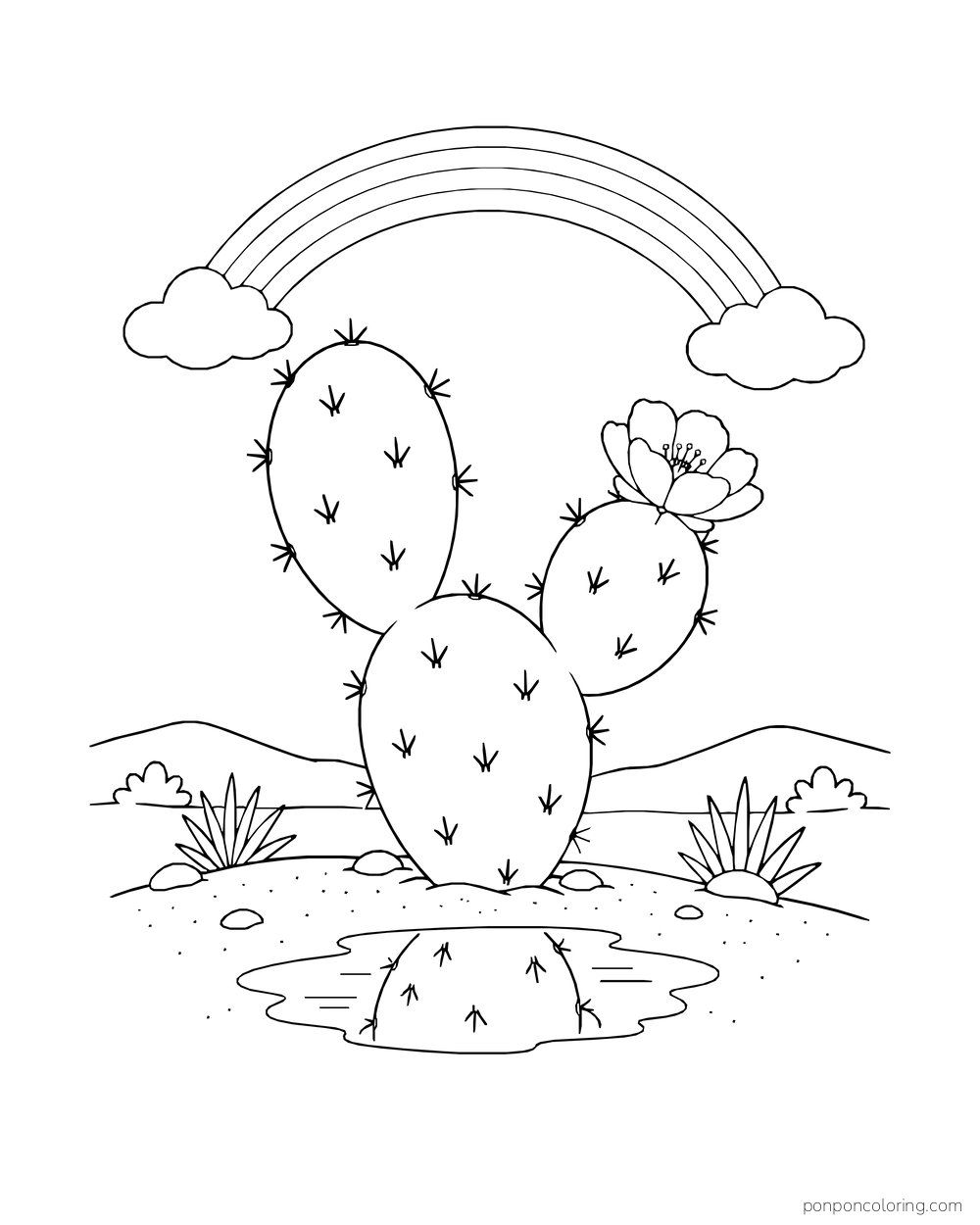 A prickly pear stands beneath a rainbow, with part of one pad reflected in a puddle.