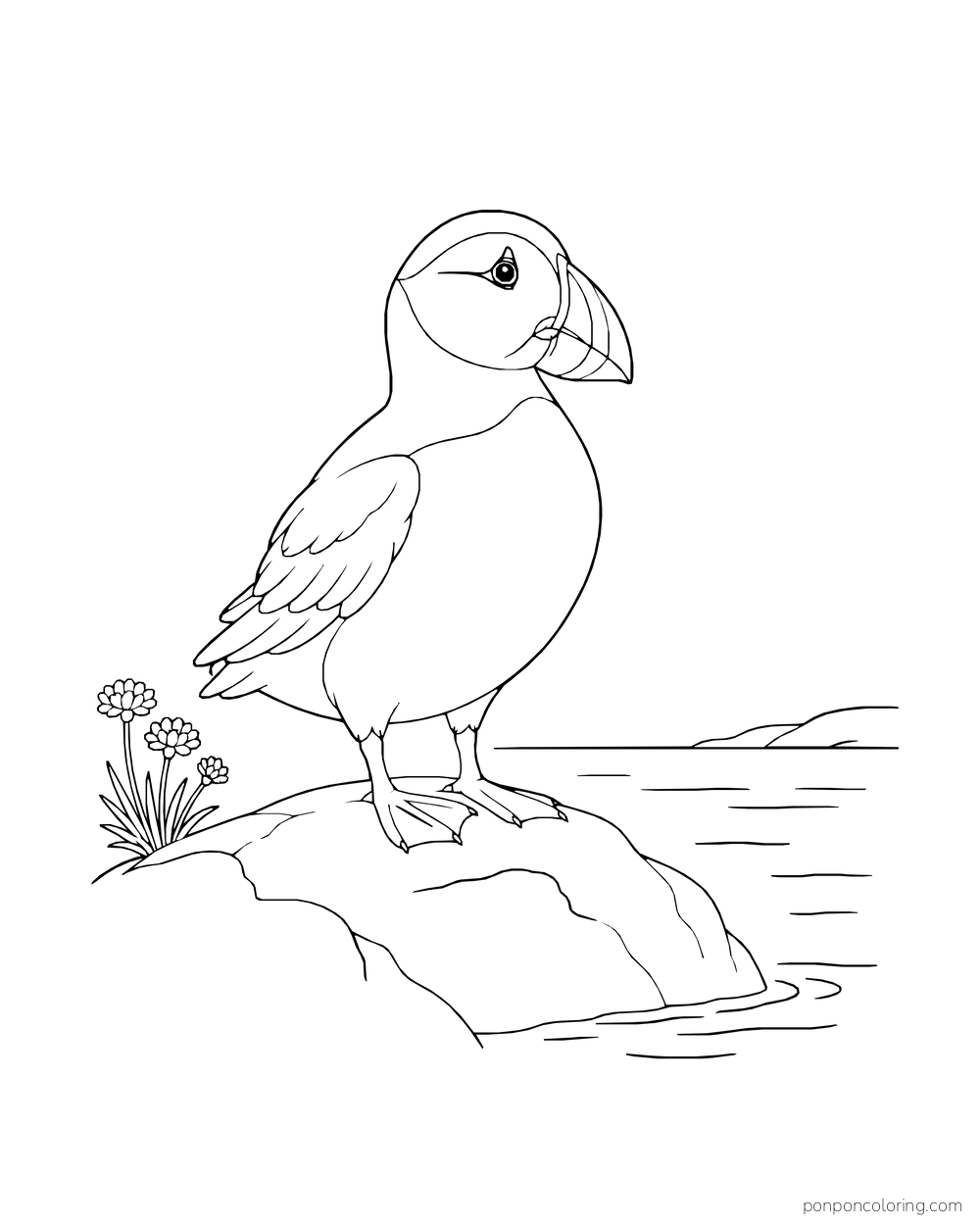 A puffin stands on a rounded coastal rock beside a few flowers.