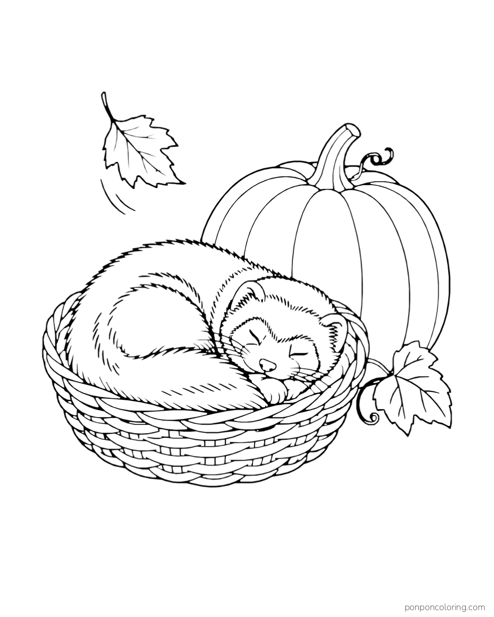 A ferret sleeps curled in a woven basket beside a pumpkin and falling leaf.
