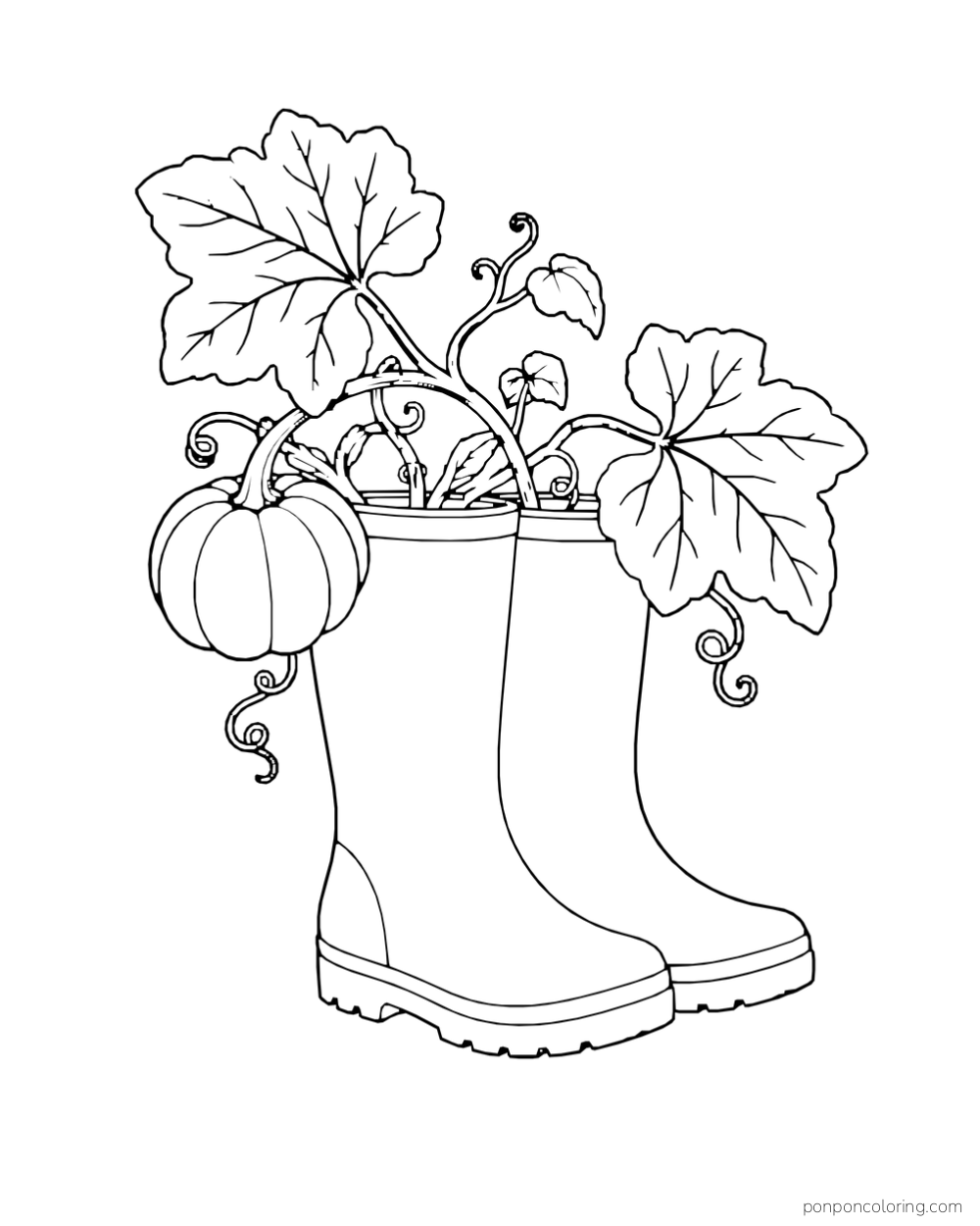 A pumpkin vine with broad leaves grows from a pair of rain boots.