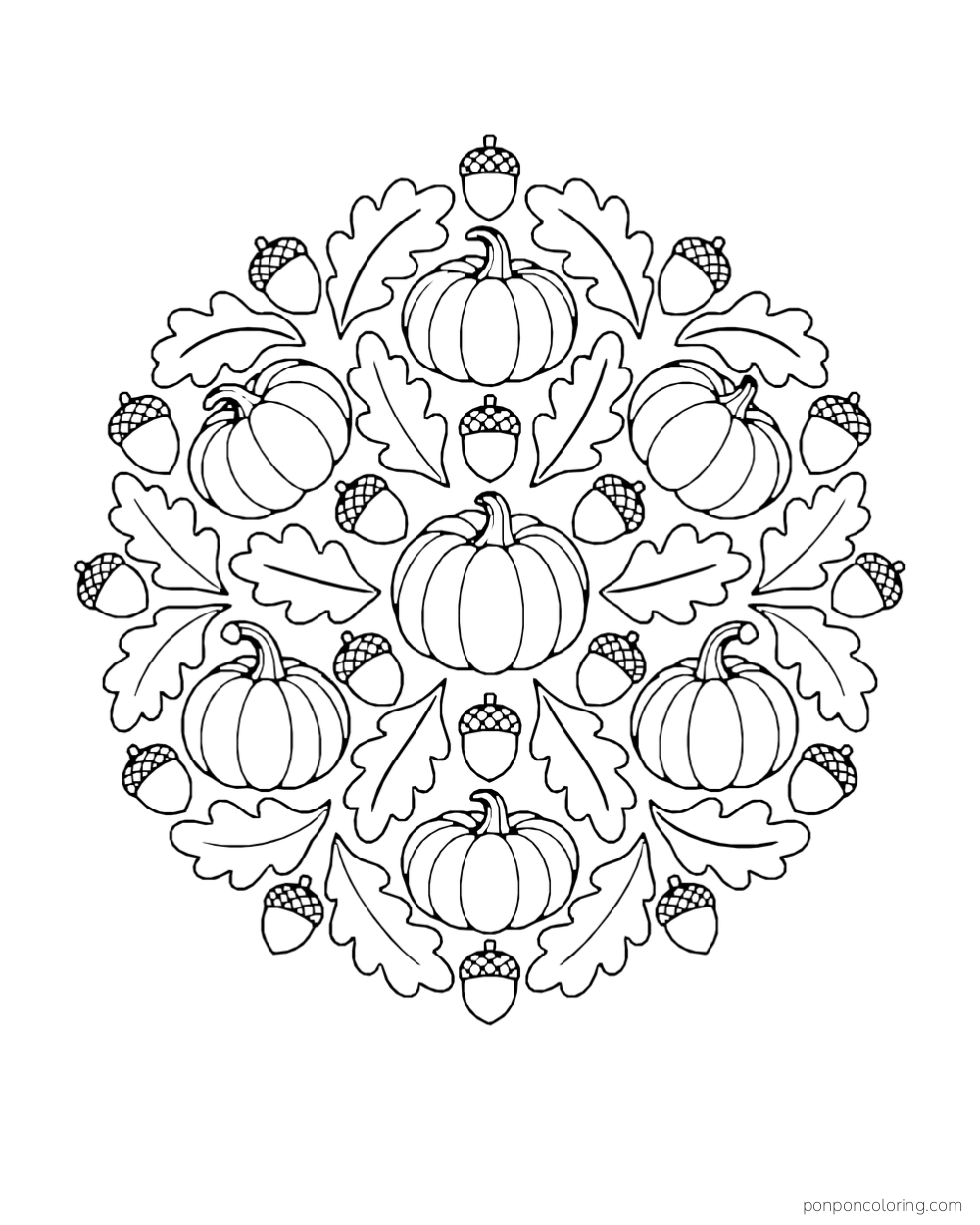 Pumpkins, acorns, and broad oak leaves form a rounded decorative autumn pattern.